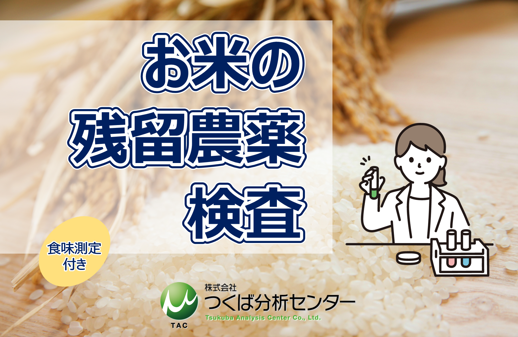 新米】 栃木県（県北）産 コシヒカリ 23.7kg 5分搗き 令和6年産